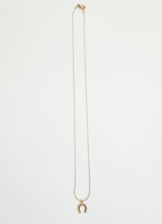Horseshoe Necklace